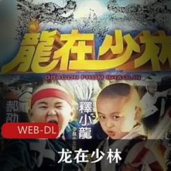69分享网推荐爆笑电影（龙在少林）粤语版中字百度云